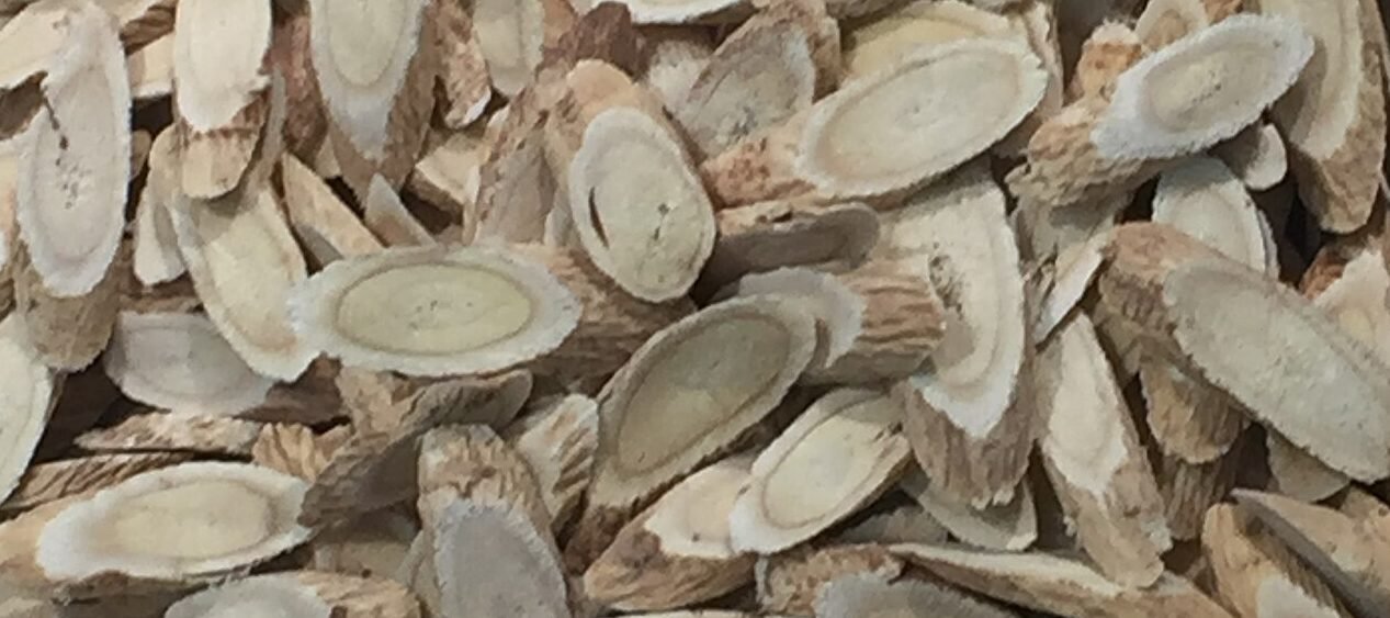 Dried astragalus root slices