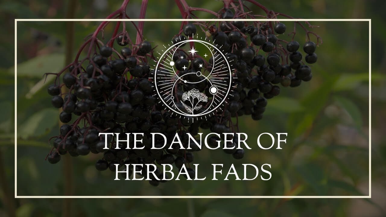 The danger of herbal fads